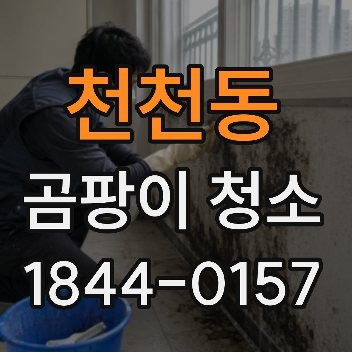 천천동 곰팡이 청소