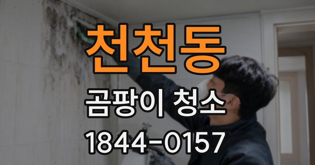 천천동 곰팡이 청소