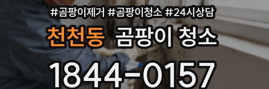 천천동 곰팡이 청소