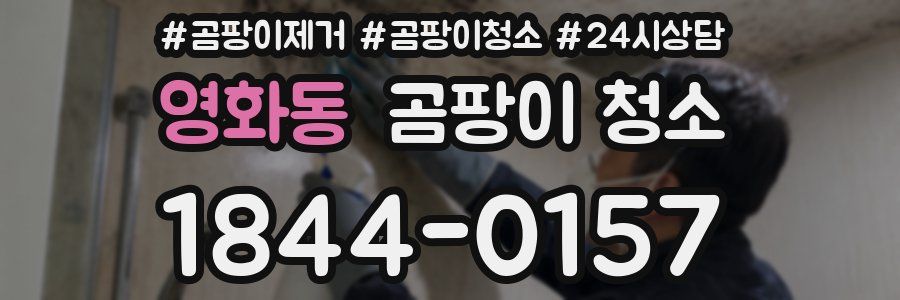 영화동 곰팡이 청소