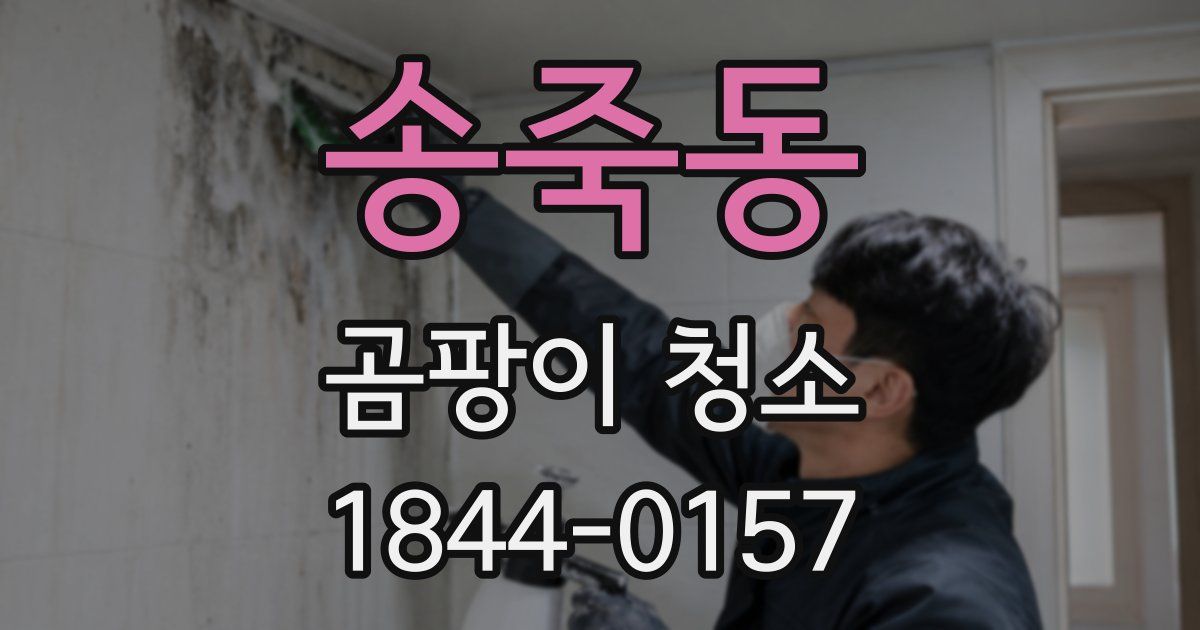 송죽동 곰팡이 청소