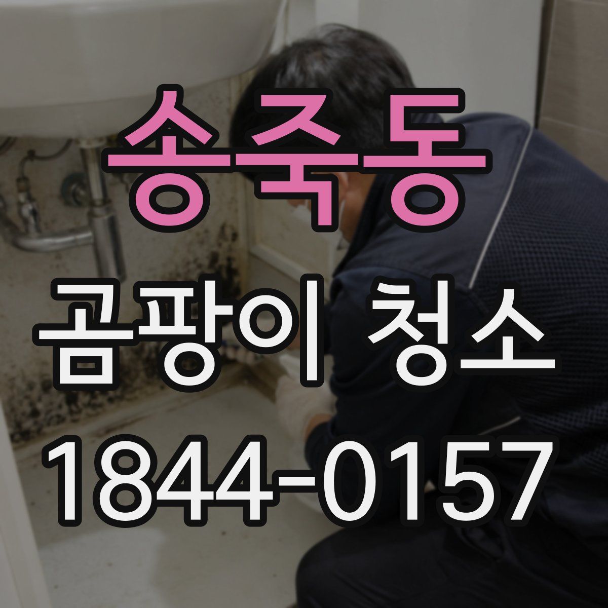 송죽동 곰팡이 청소