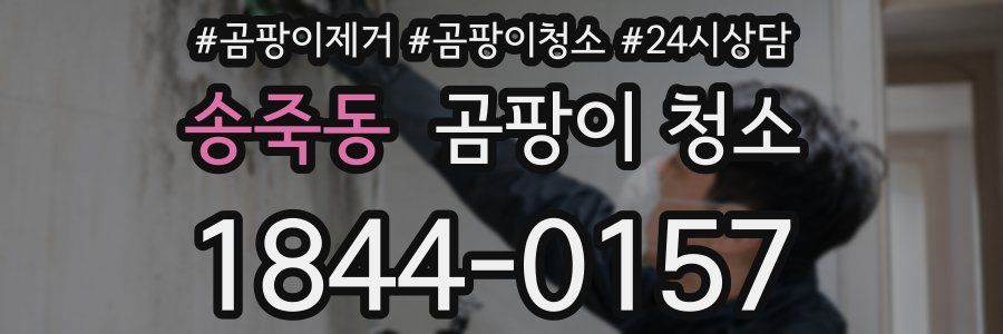 송죽동 곰팡이 청소