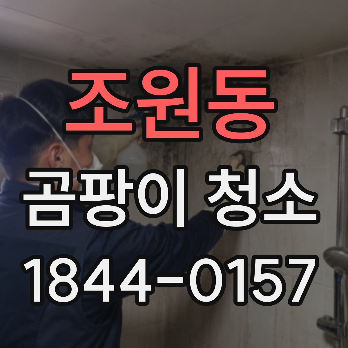 조원동 곰팡이 청소