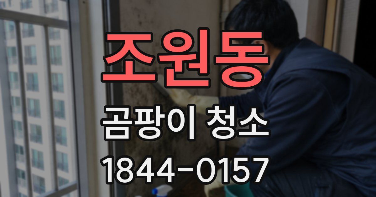 조원동 곰팡이 청소