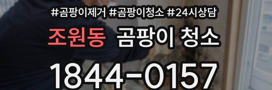 조원동 곰팡이 청소