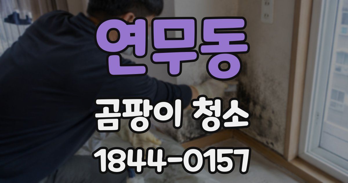 연무동 곰팡이 청소