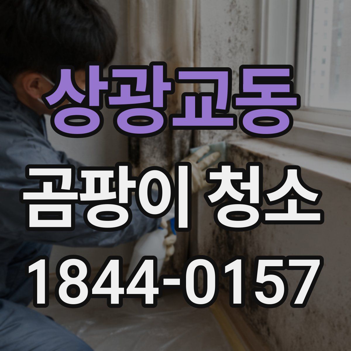 상광교동 곰팡이 청소