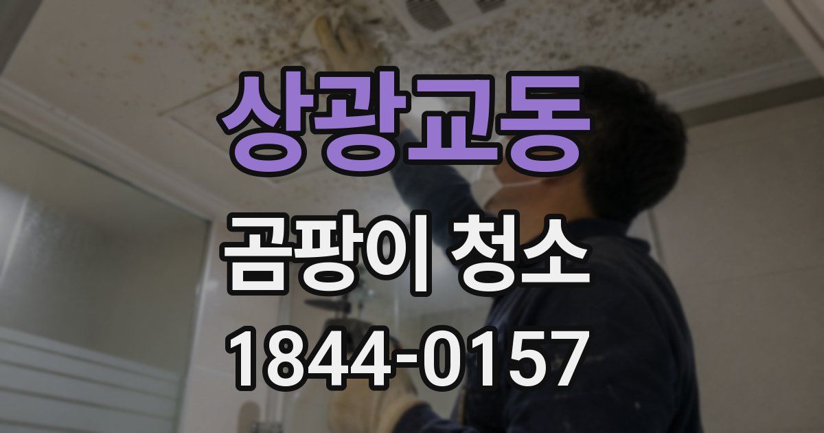 상광교동 곰팡이 청소