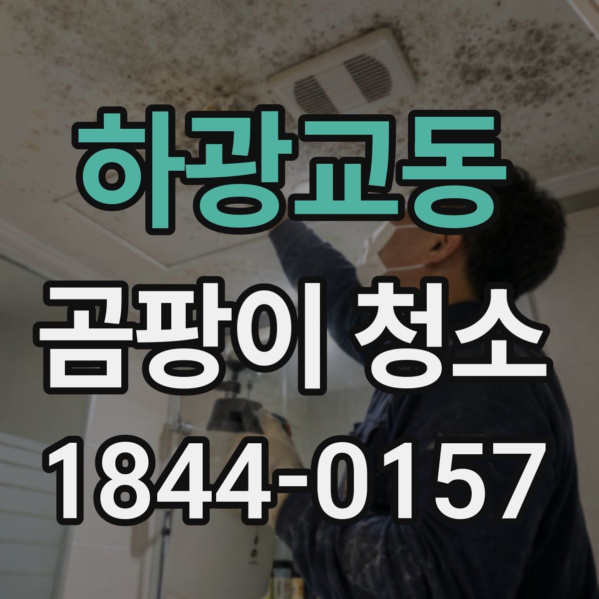 하광교동 곰팡이 청소