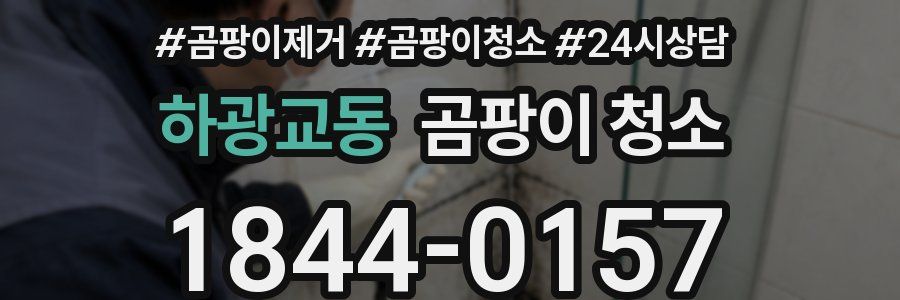 하광교동 곰팡이 청소