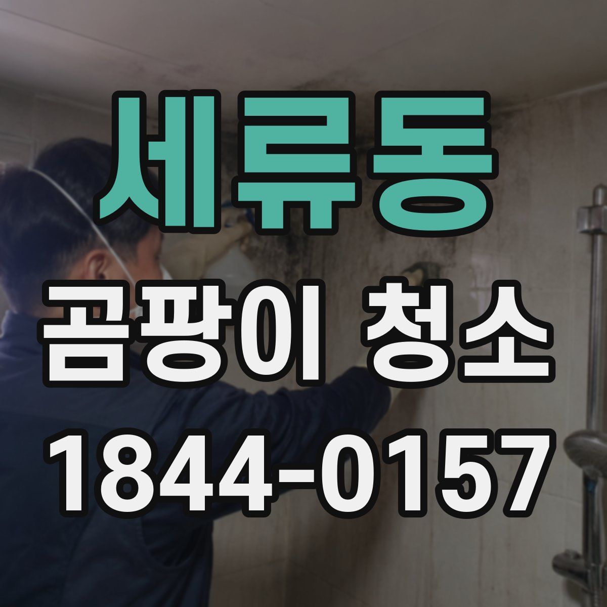 세류동 곰팡이 청소
