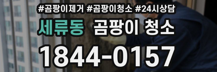 세류동 곰팡이 청소