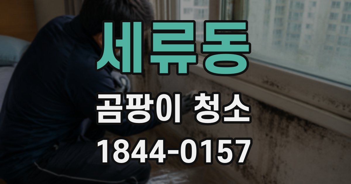 세류동 곰팡이 청소