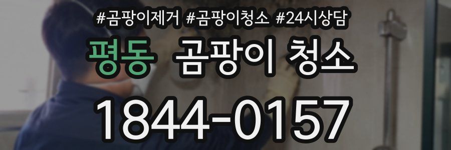 평동 곰팡이 청소