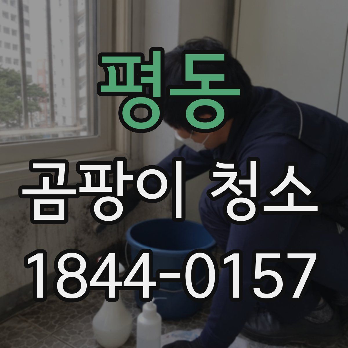 평동 곰팡이 청소