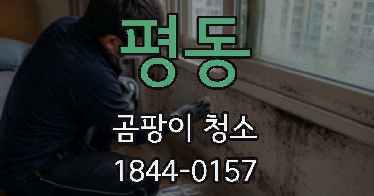 평동 곰팡이 청소