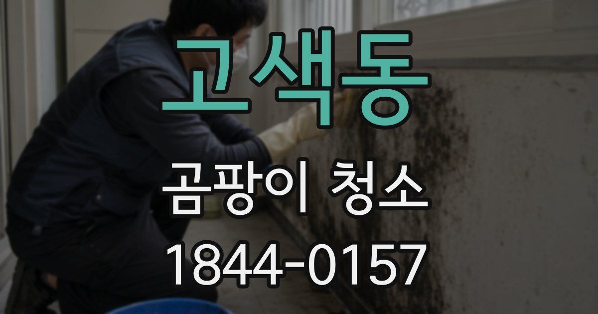 고색동 곰팡이 청소