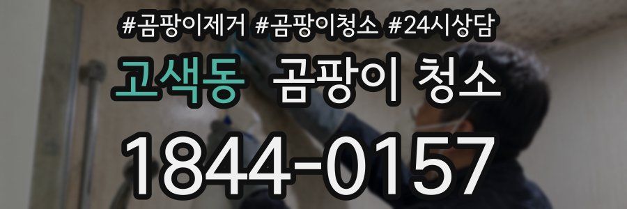 고색동 곰팡이 청소
