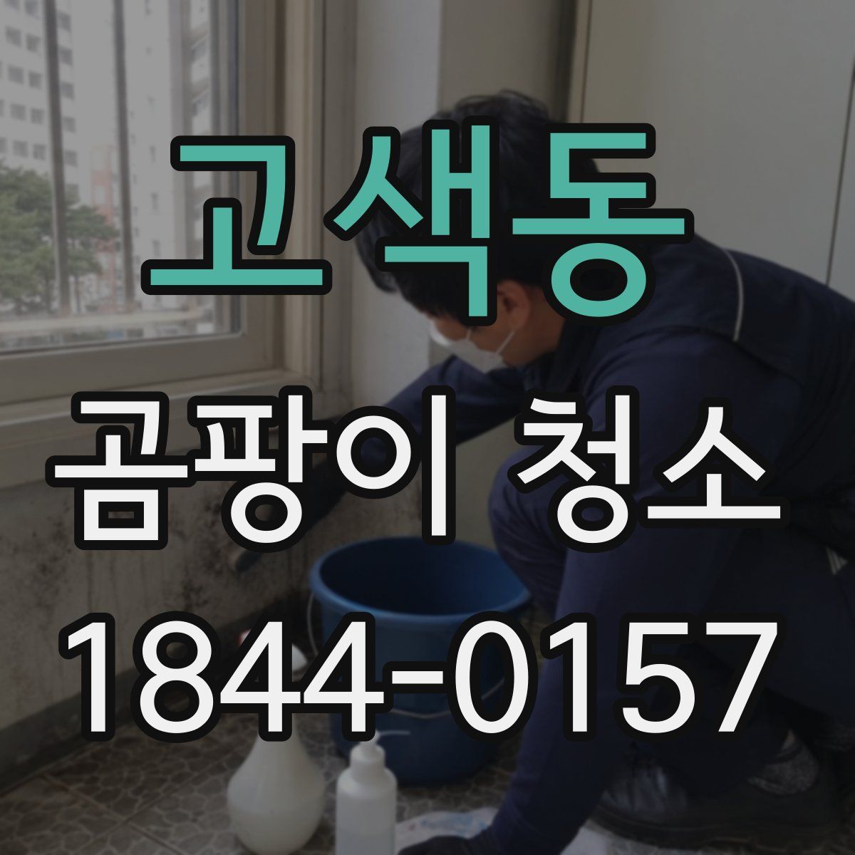 고색동 곰팡이 청소