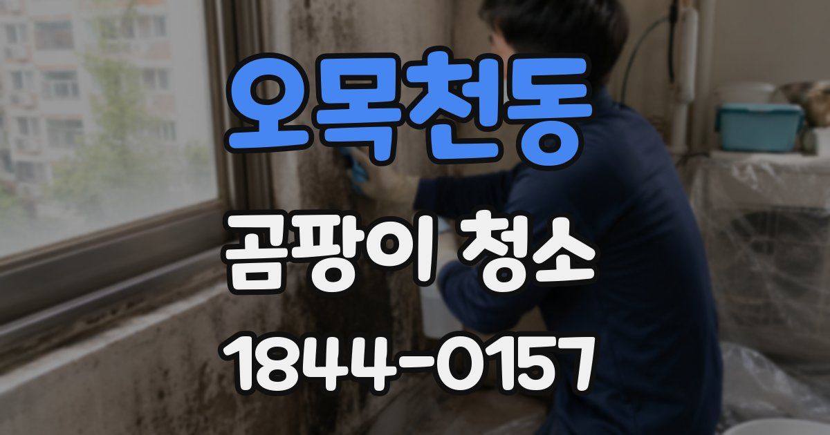오목천동 곰팡이 청소
