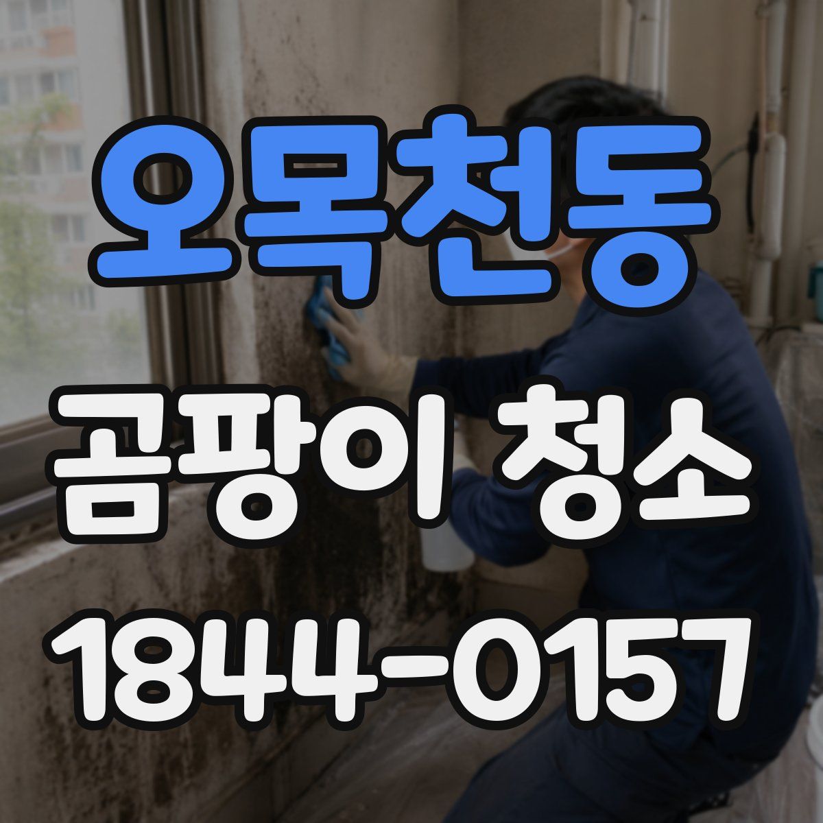 오목천동 곰팡이 청소