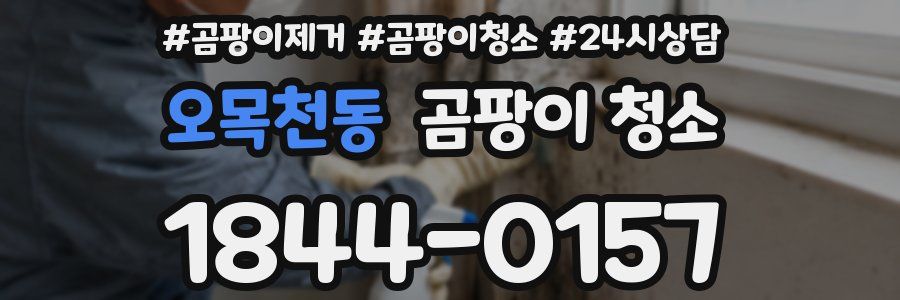 오목천동 곰팡이 청소