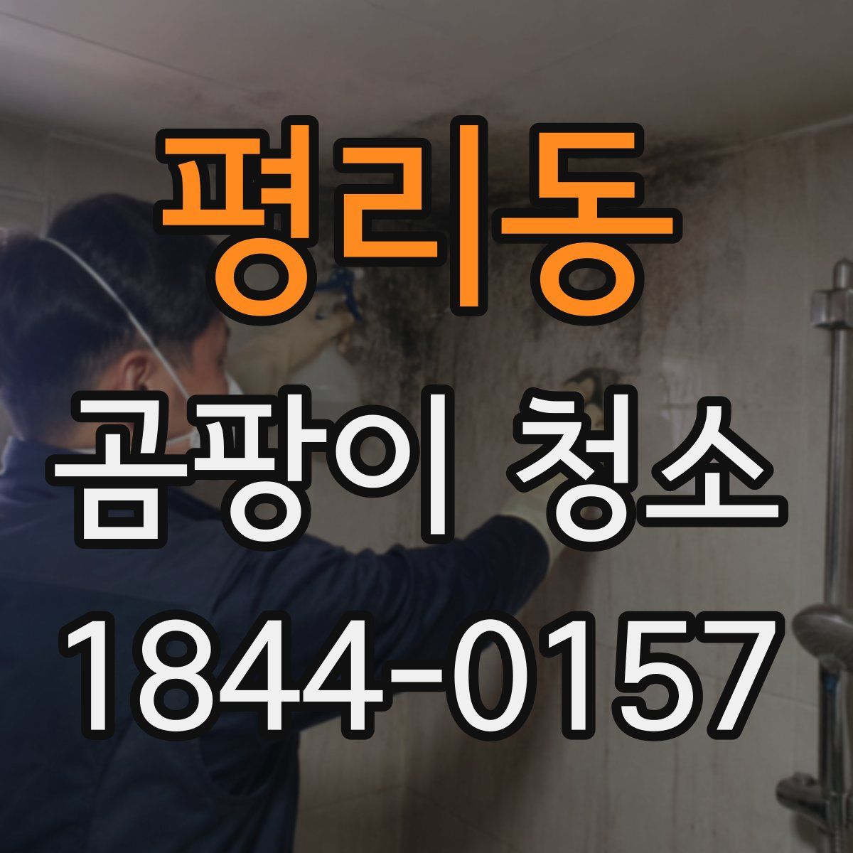 평리동 곰팡이 청소