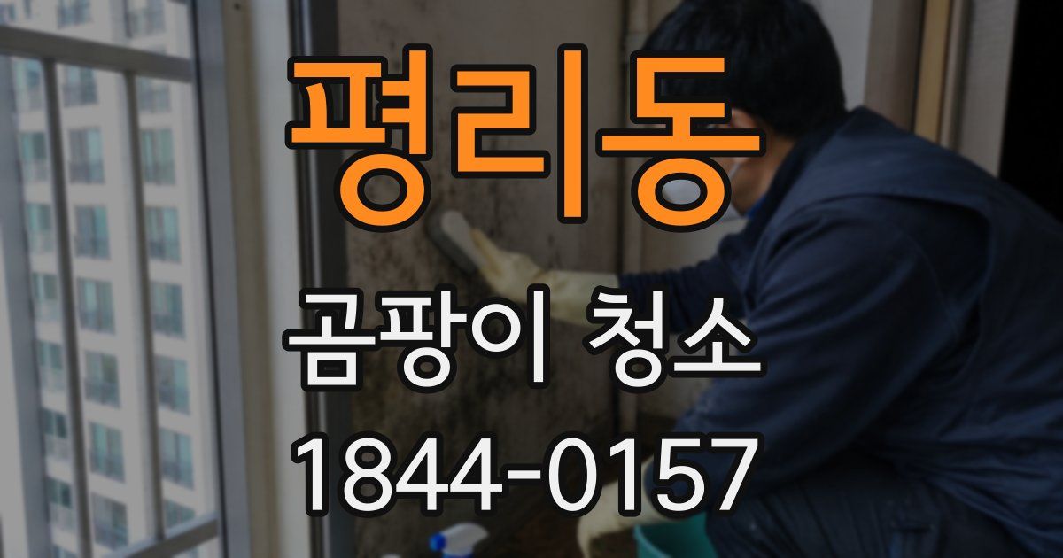 평리동 곰팡이 청소