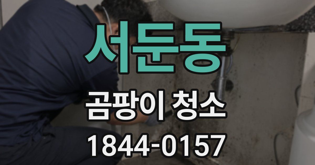 서둔동 곰팡이 청소