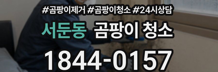 서둔동 곰팡이 청소