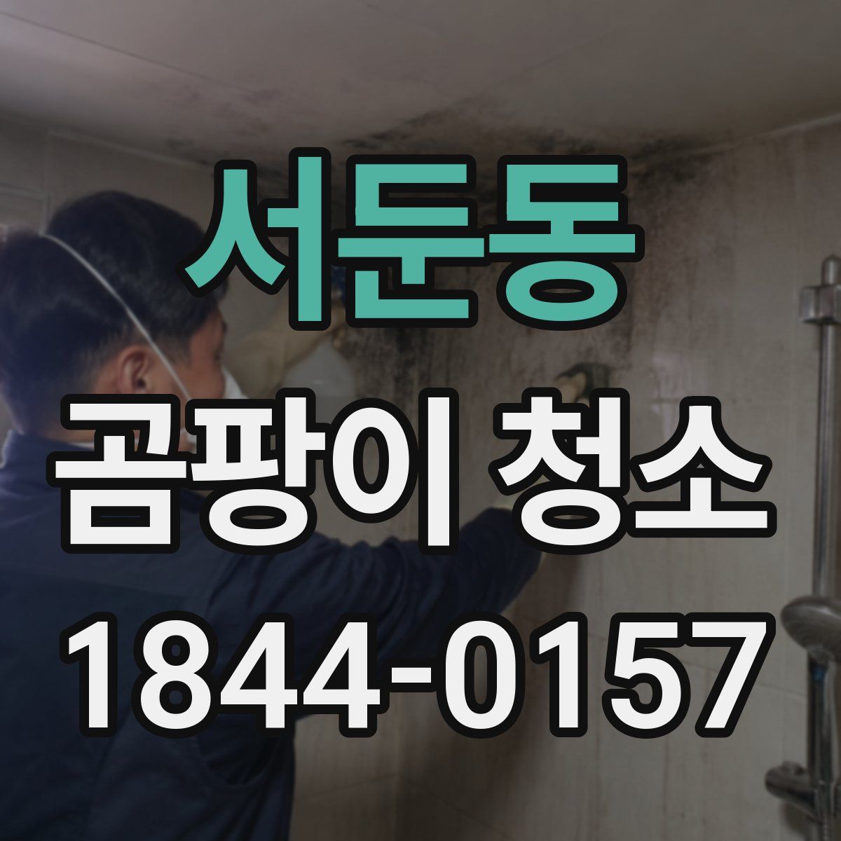 서둔동 곰팡이 청소