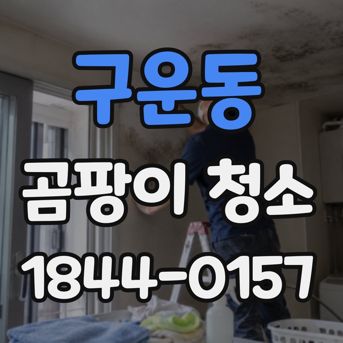 구운동 곰팡이 청소