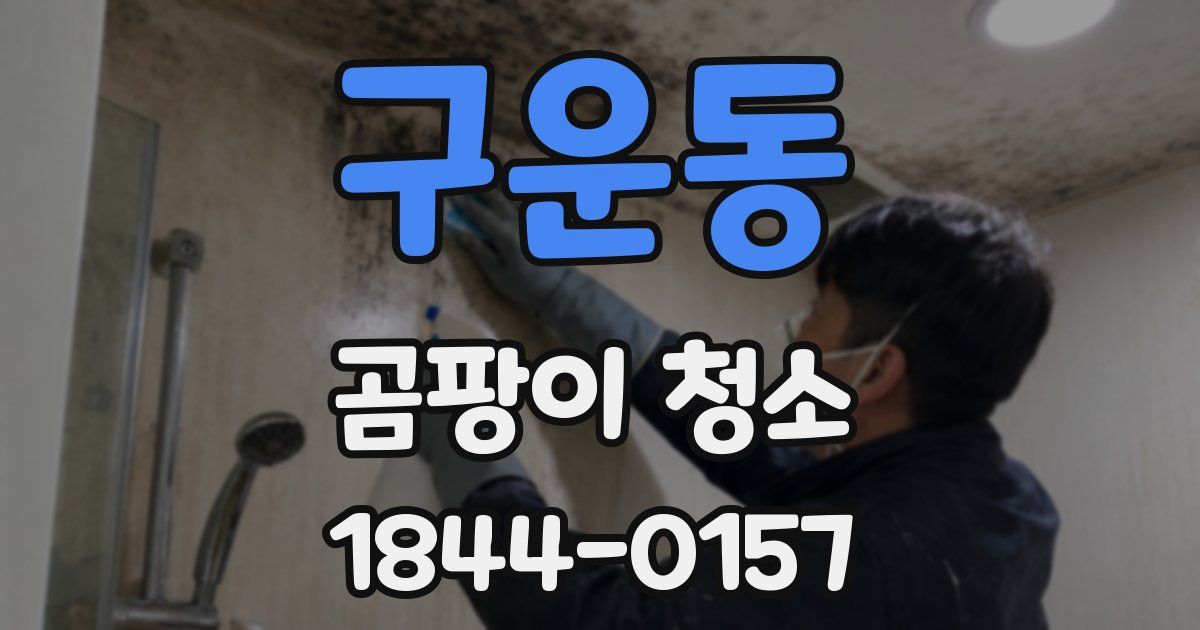 구운동 곰팡이 청소