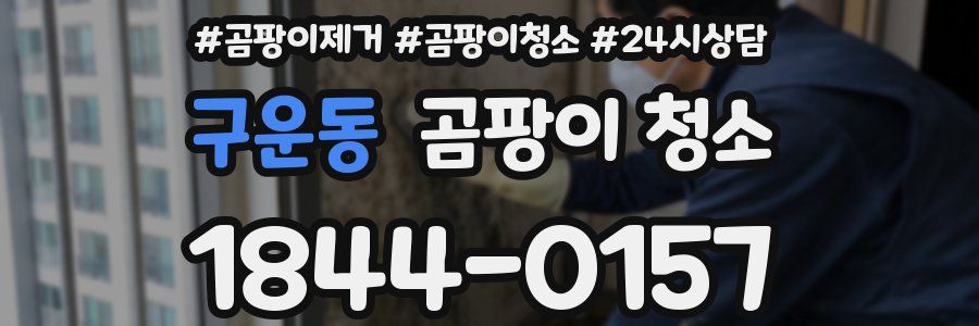 구운동 곰팡이 청소