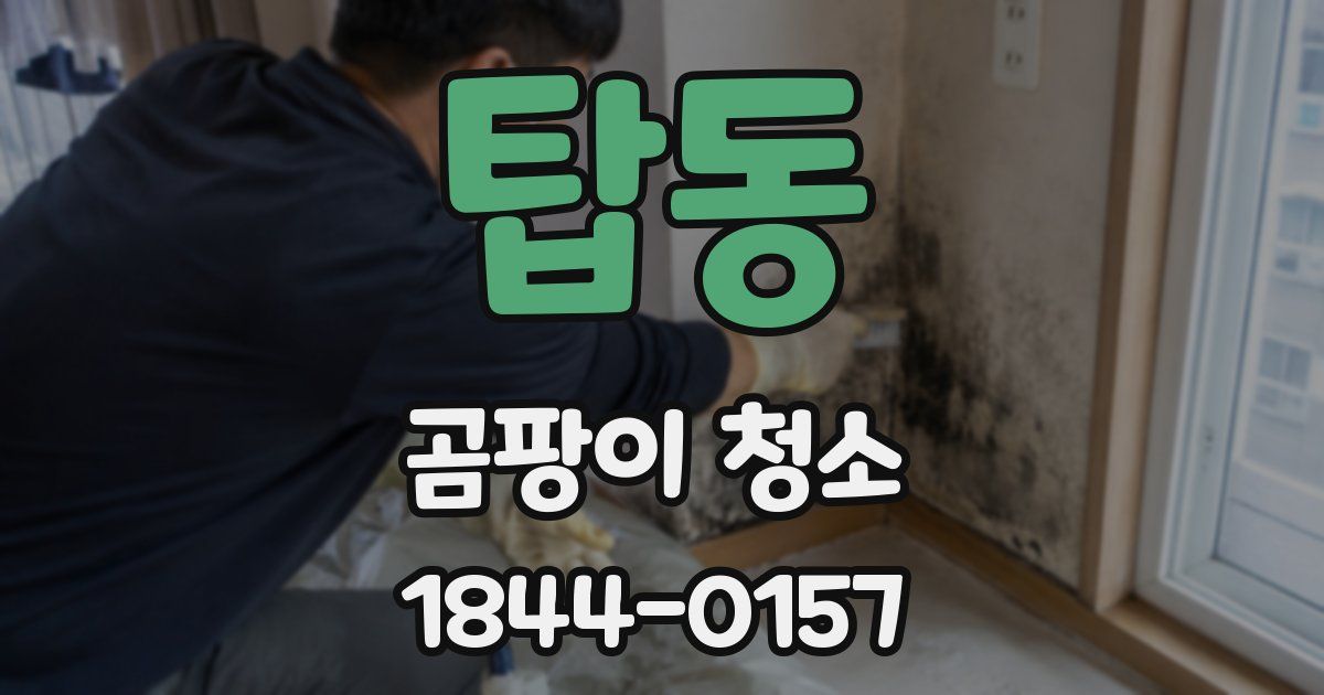 탑동 곰팡이 청소