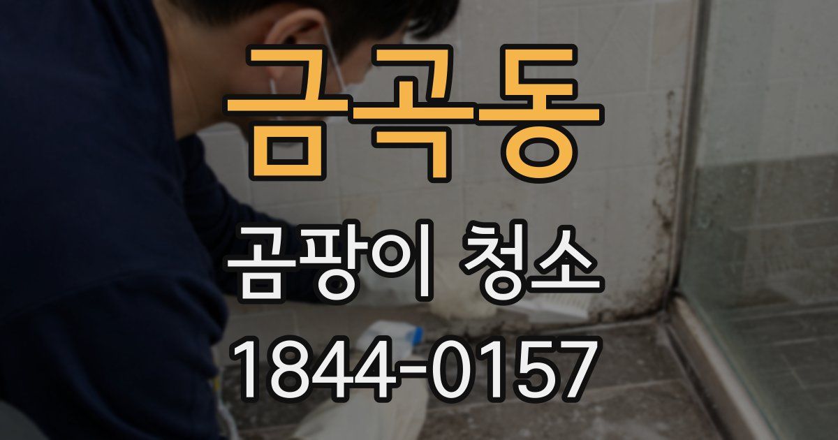 금곡동 곰팡이 청소