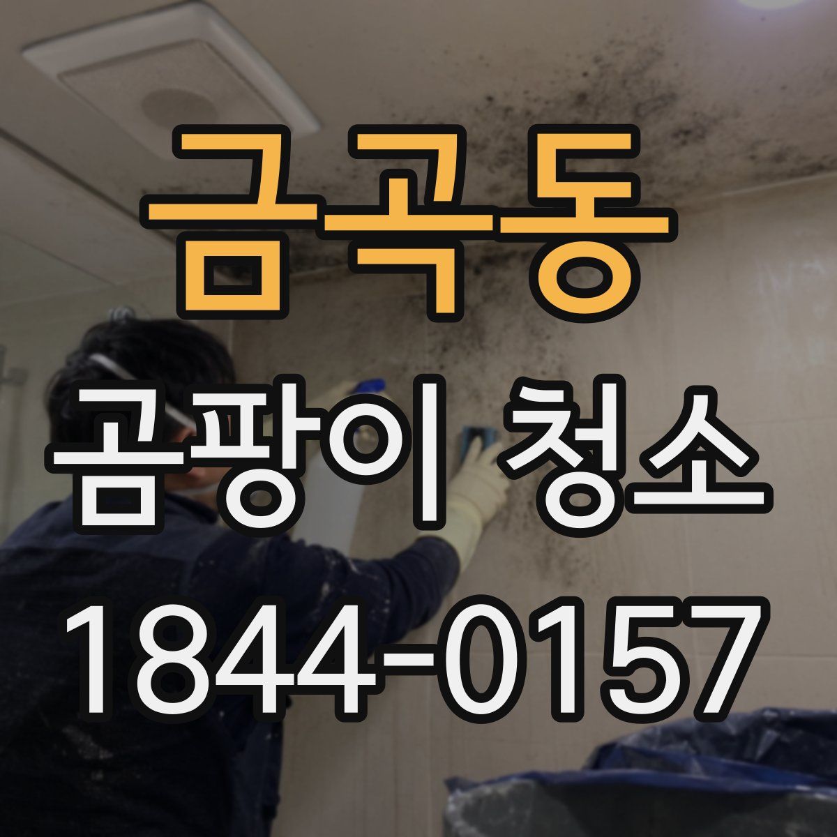 금곡동 곰팡이 청소