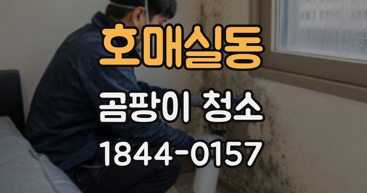 호매실동 곰팡이 청소