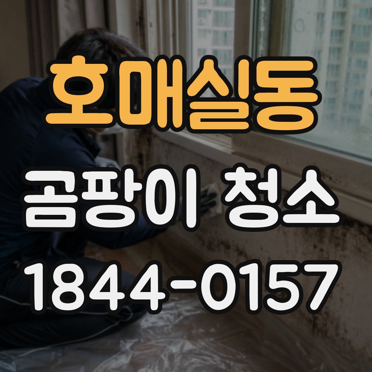 호매실동 곰팡이 청소