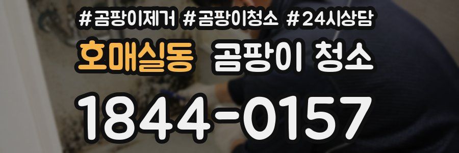 호매실동 곰팡이 청소