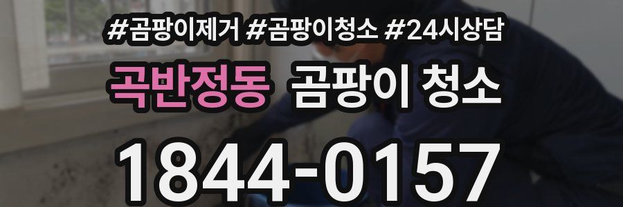 곡반정동 곰팡이 청소