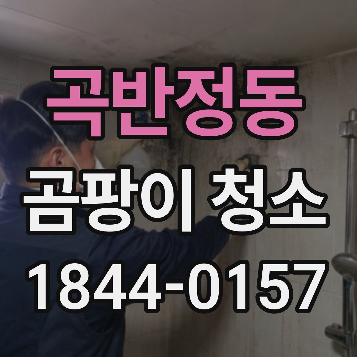 곡반정동 곰팡이 청소
