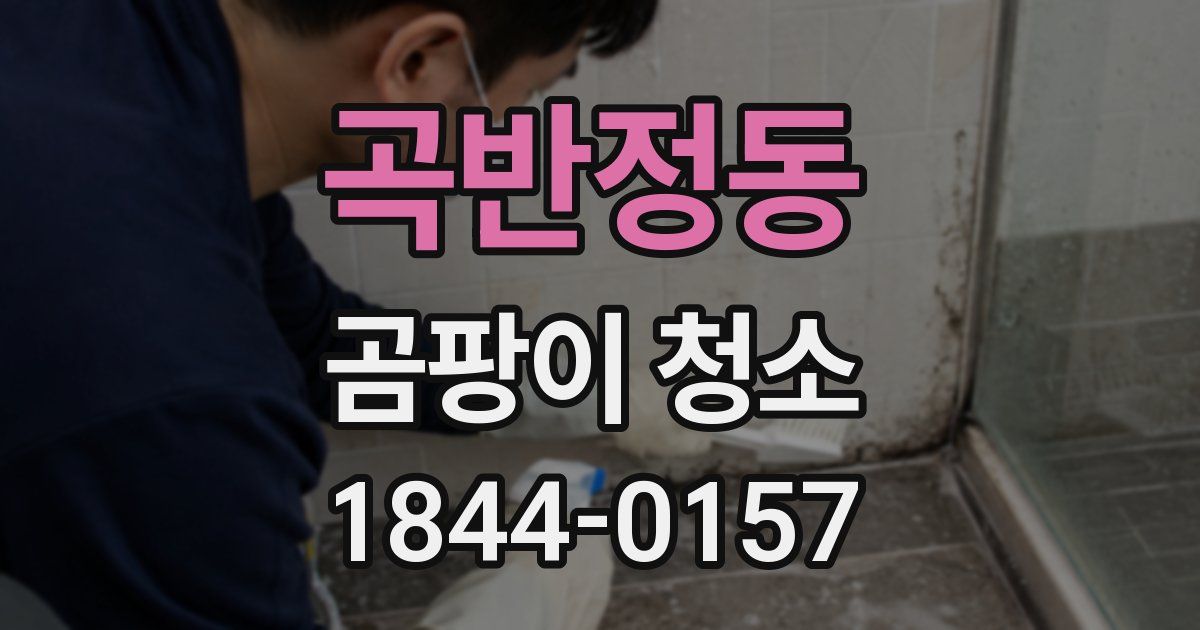 곡반정동 곰팡이 청소