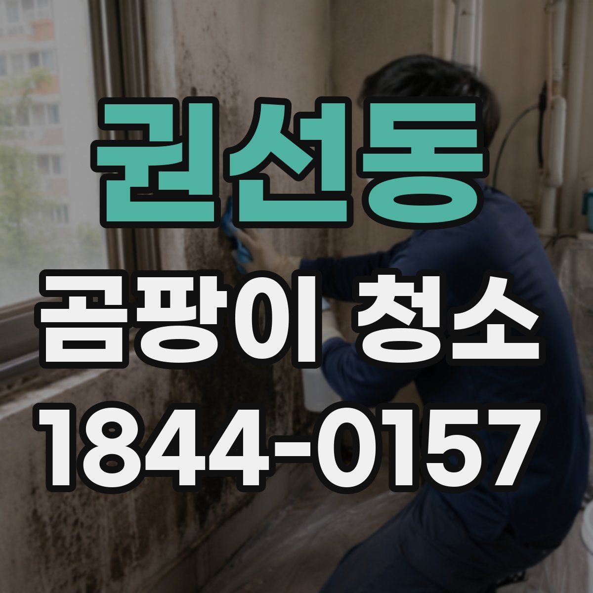 권선동 곰팡이 청소
