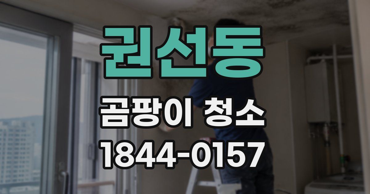 권선동 곰팡이 청소