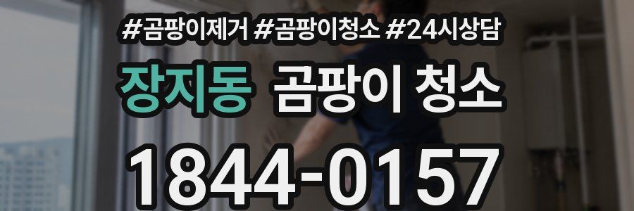 장지동 곰팡이 청소