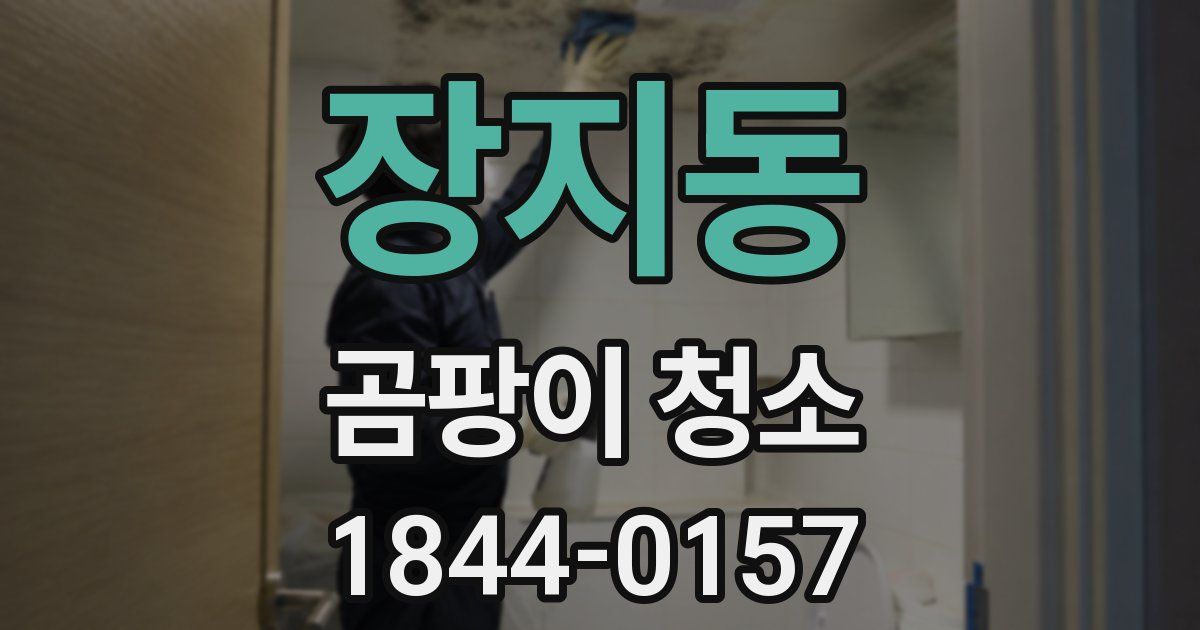 장지동 곰팡이 청소