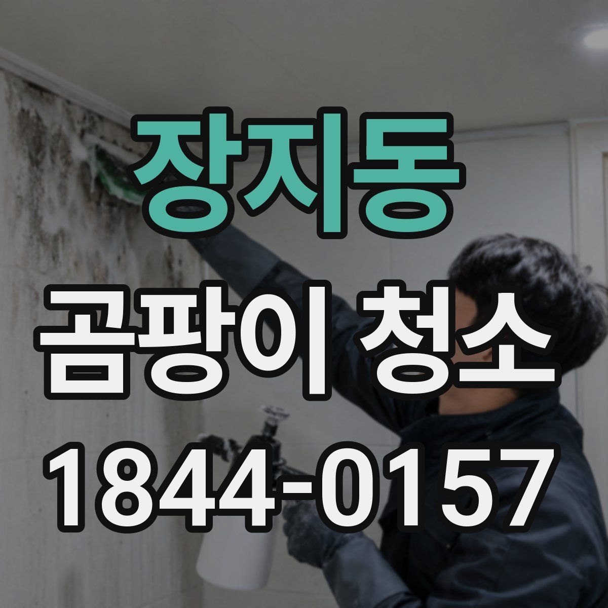 장지동 곰팡이 청소