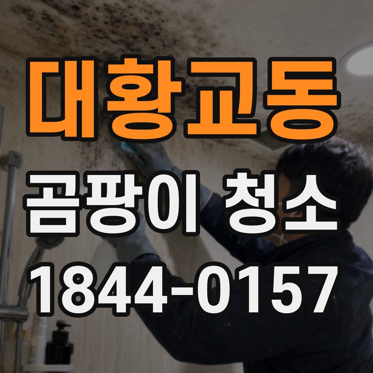 대황교동 곰팡이 청소